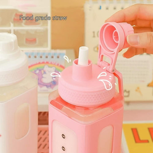 700ml Water Bottle with Lid and Straw